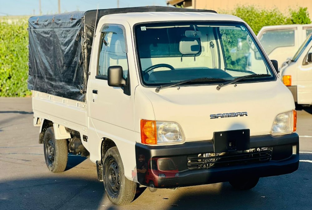 Subaru Sambar Full Body 2000 — high-resolution Shaza photography